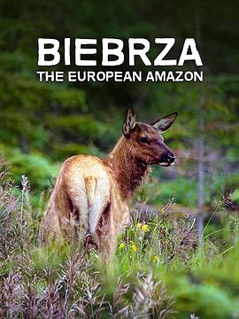 [其他]别布扎河：欧洲的亚马孙 Biebrza: The European Amazon-知途纪录片网盘资源下载